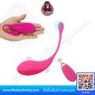 Clitoris Vibrating Egg-ปก