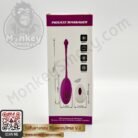 Remote Control Vibration Egg V2 -2