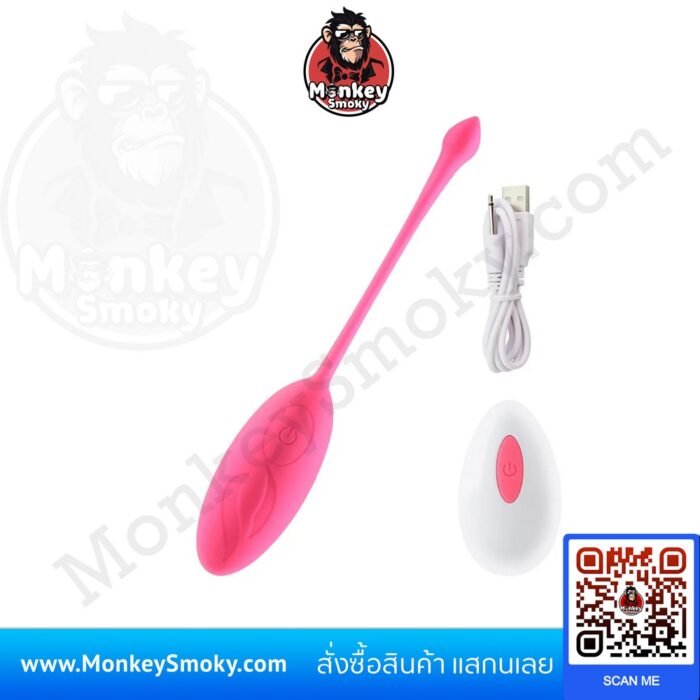 Remote Control Vibration Egg V2-2-ปก Remote Control Vibration Egg V2-2-ปก
