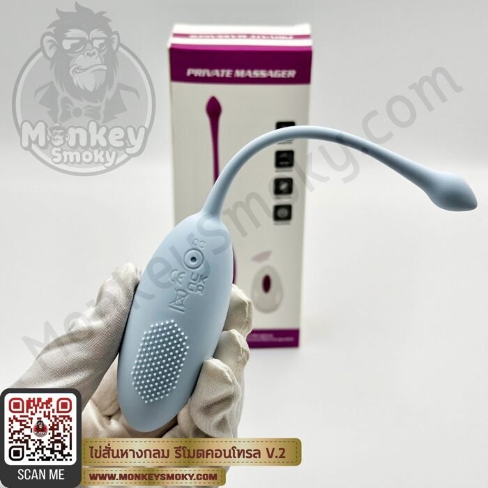 Remote Control Vibration Egg V2 -3