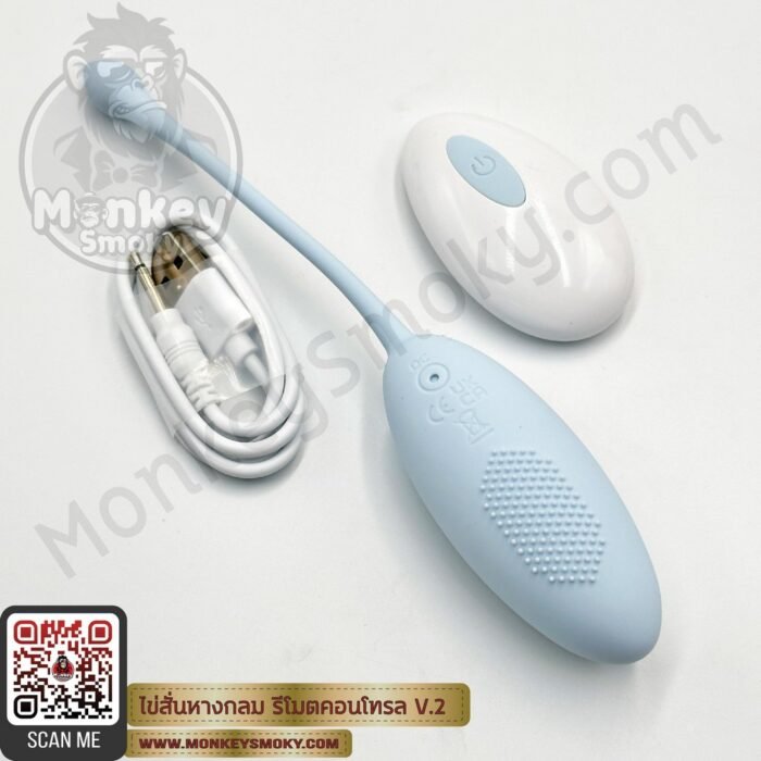 Remote Control Vibration Egg V2 -5
