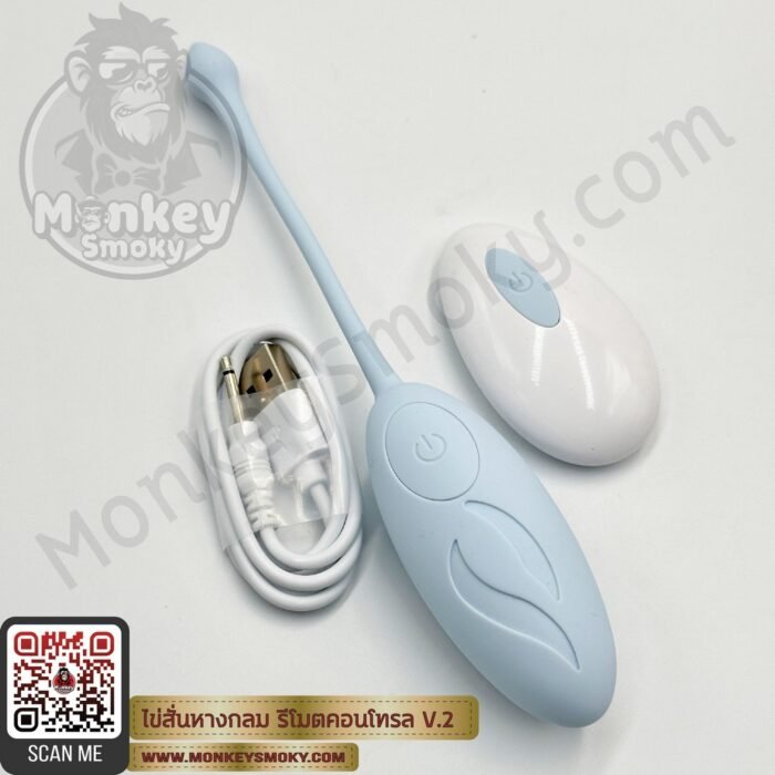 Remote Control Vibration Egg V2 -6