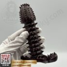 ปลอกสวมเต็มลำกระบองเพชร-6